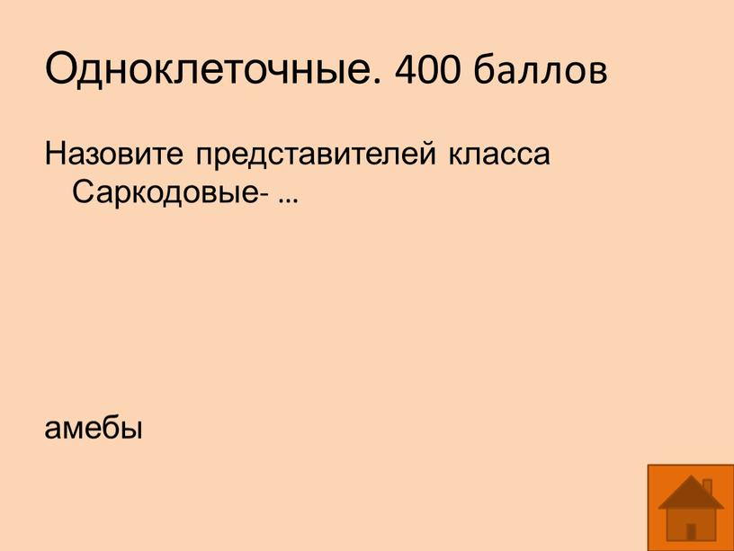 Одноклеточные. 400 баллов Назовите представителей класса