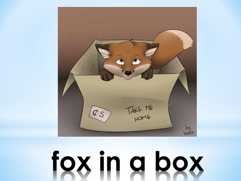 fox in a box