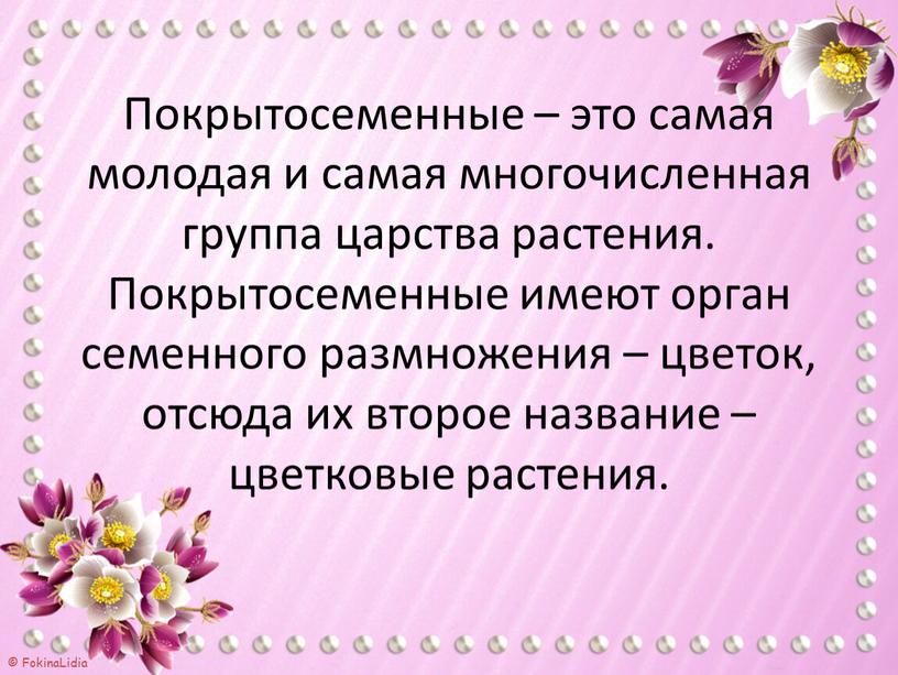 Покрытосеменные – это самая молодая и самая многочисленная группа царства растения