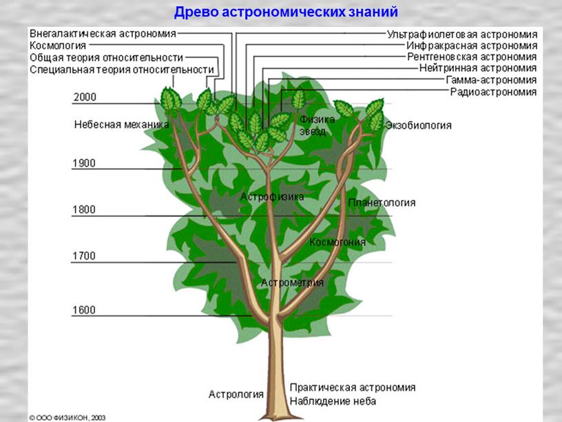 Древо астрономических знаний