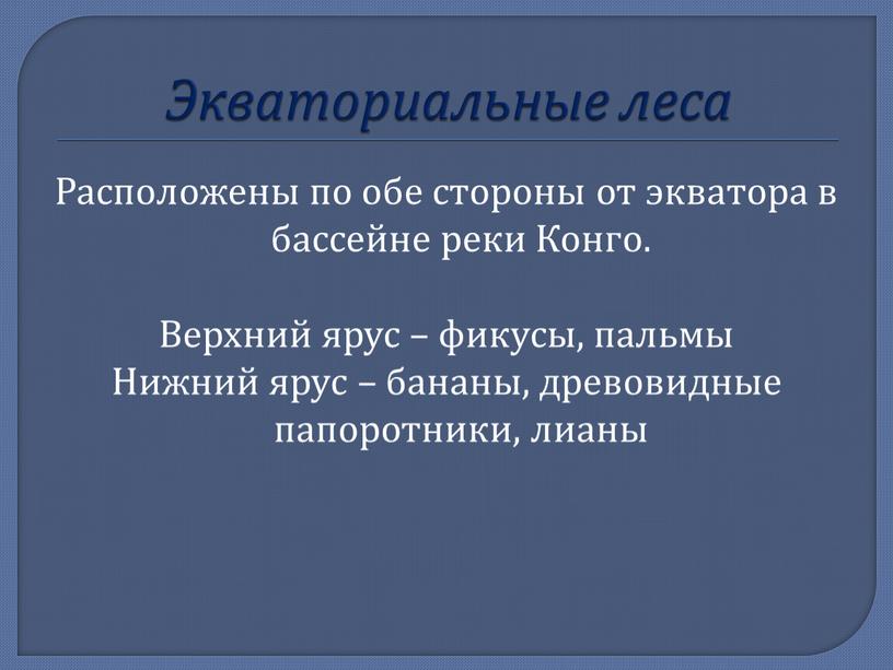 Экваториальные леса Расположены по обе стороны от экватора в бассейне реки