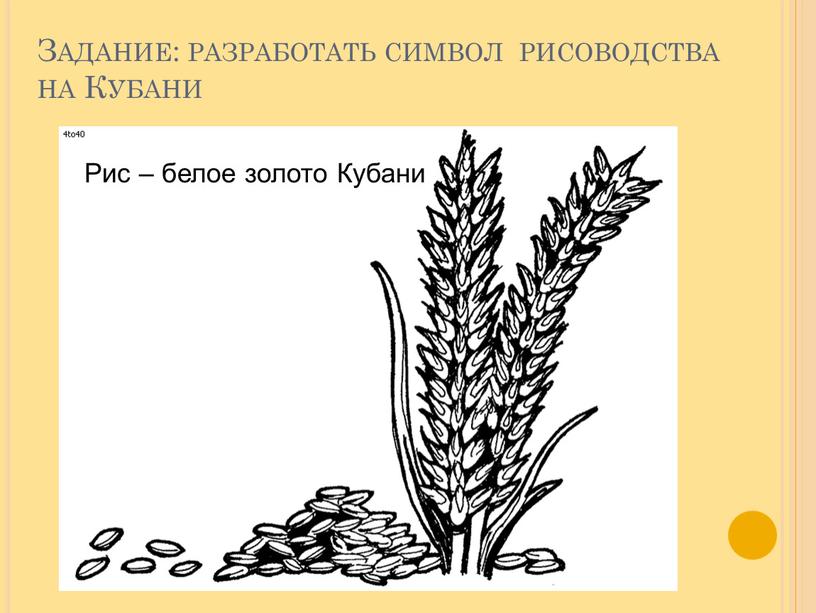 Задание: разработать символ рисоводства на