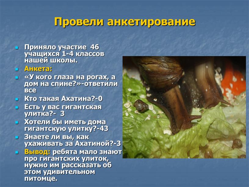 Провели анкетирование Приняло участие 46 учащихся 1-4 классов нашей школы