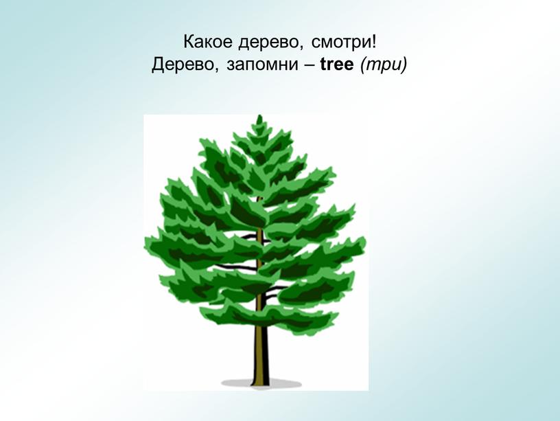 Какое дерево, смотри! Дерево, запомни – tree (три)