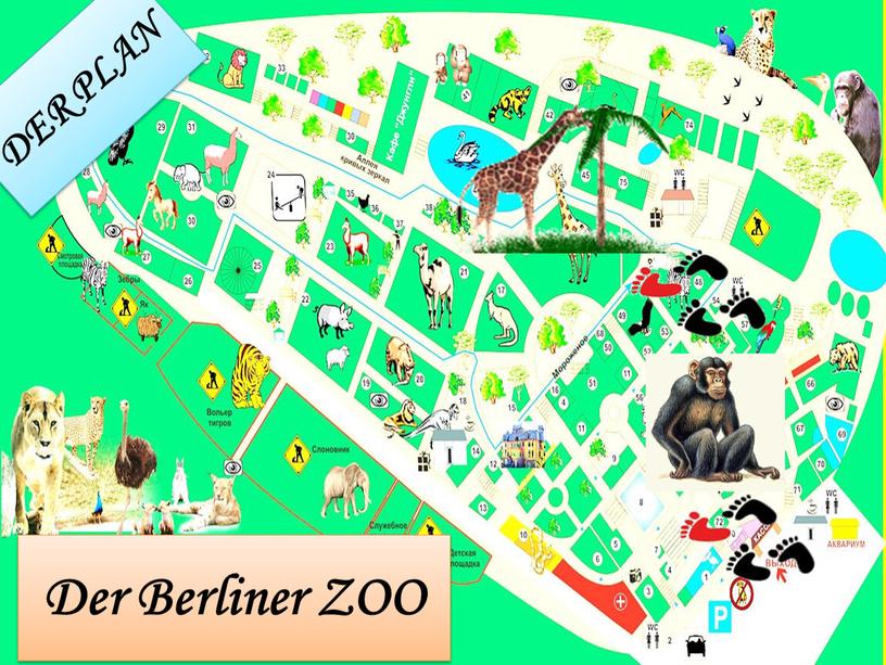 DER PLAN Der Berliner ZOO