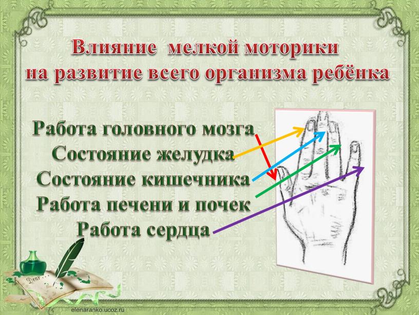 Работа головного мозга Состояние желудка