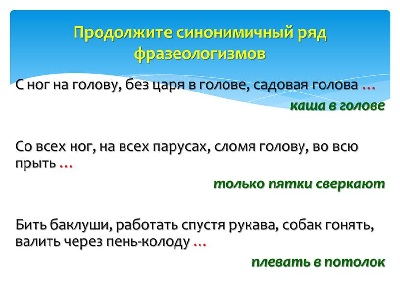 С ног на голову, без царя в голове, садовая голова … каша в голове