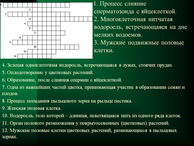 Процесс слияние сперматозоида с яйцеклеткой