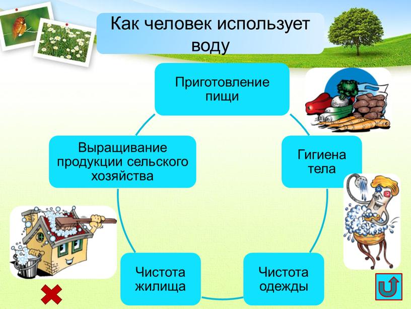 Как человек использует воду