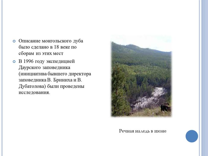 Описание монгольского дуба было сделано в 18 веке по сборам из этих мест