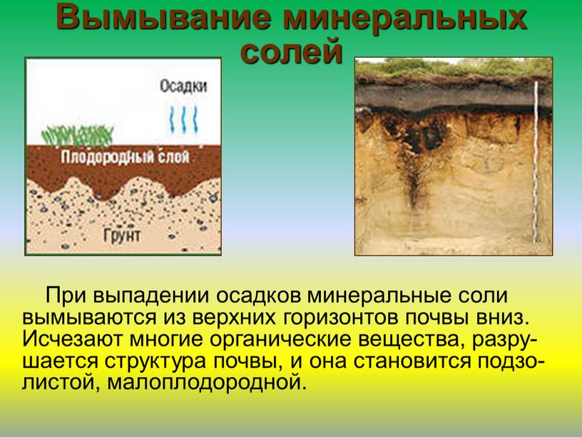 Вымывание минеральных солей При выпадении осадков минеральные соли вымываются из верхних горизонтов почвы вниз