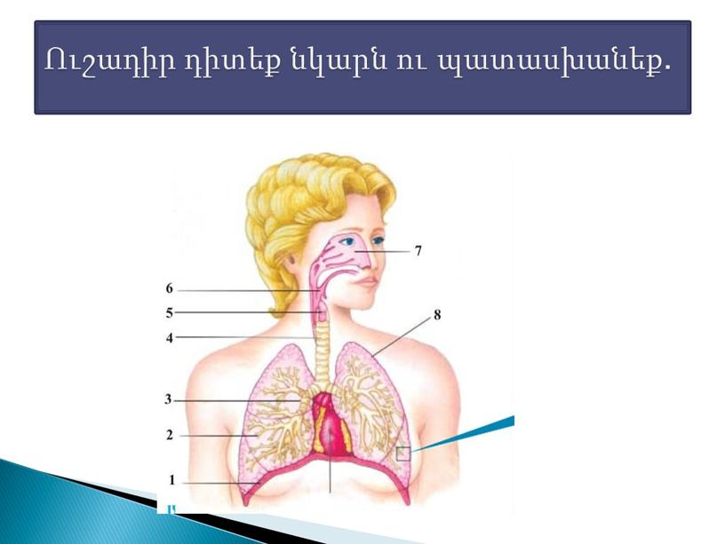 Ուշադիր դիտեք նկարն ու պատասխանեք.