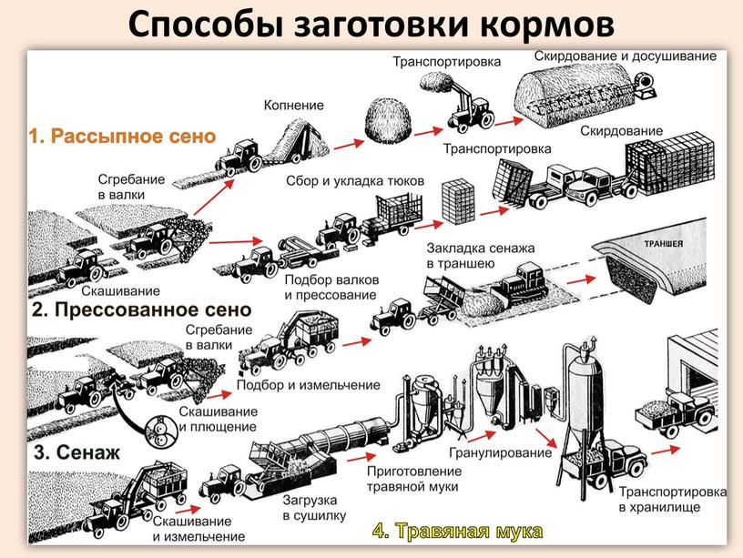 Способы заготовки кормов