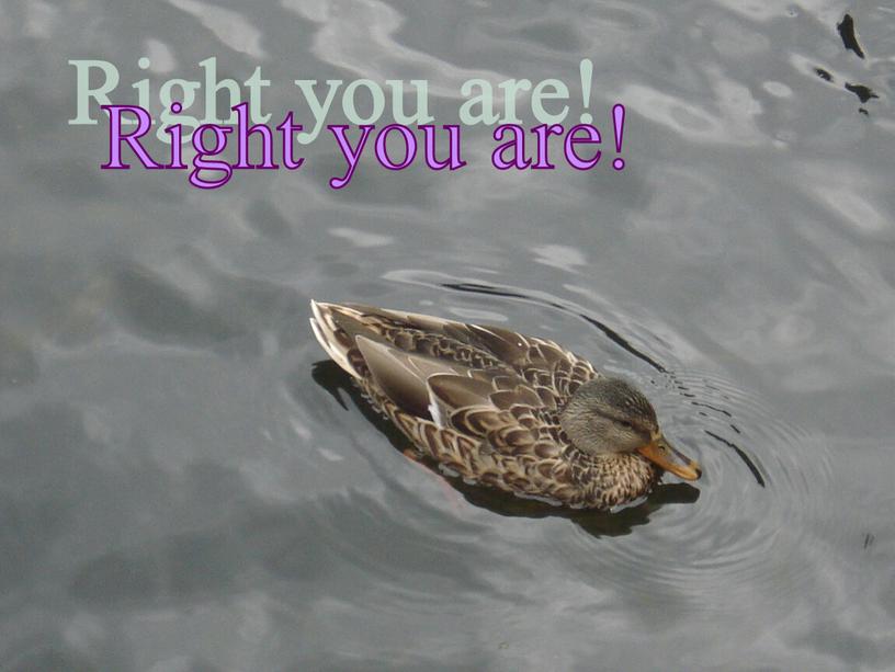 Right you are!