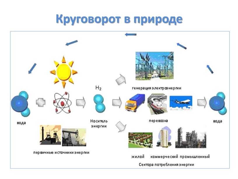 Круговорот в природе