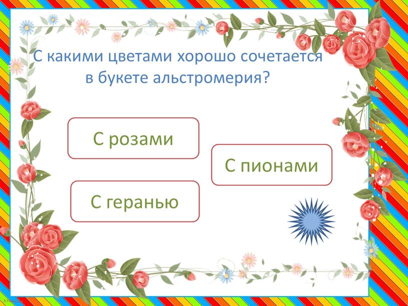 С какими цветами хорошо сочетается в букете альстромерия?