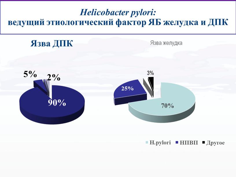 Helicobacter pylori: ведущий этиологический фактор