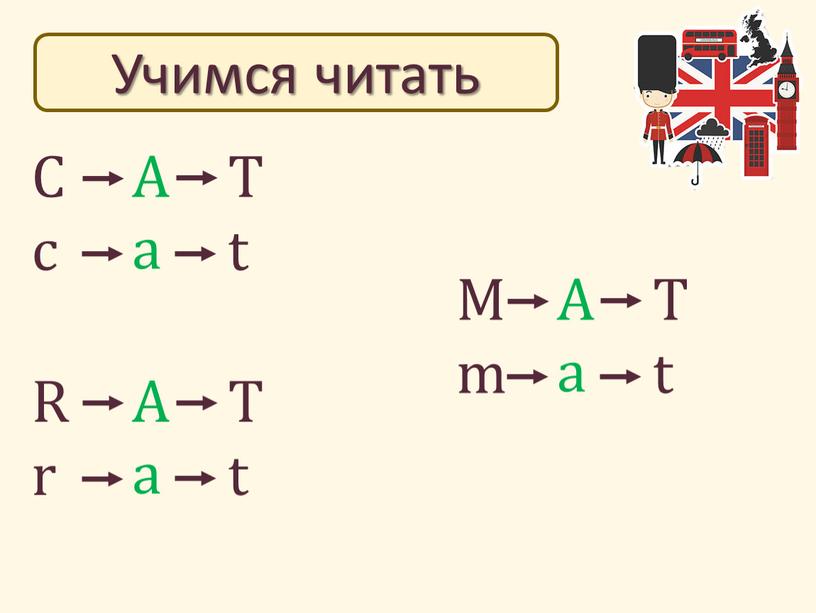 Учимся читать C c A a T t