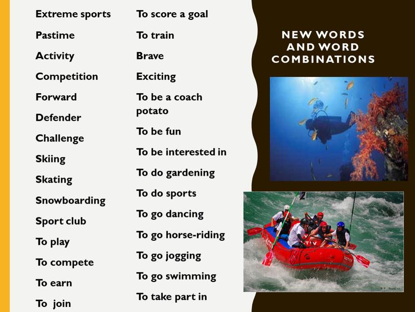 NEW WORDS AND WORD COMBINATIONS