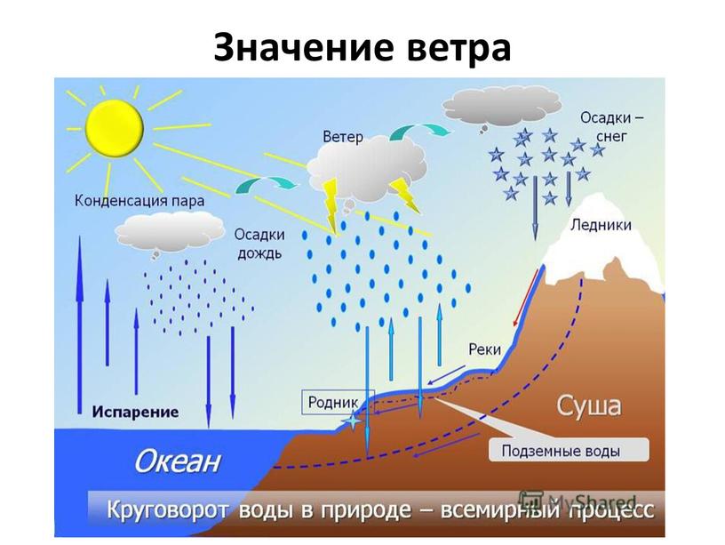 Значение ветра