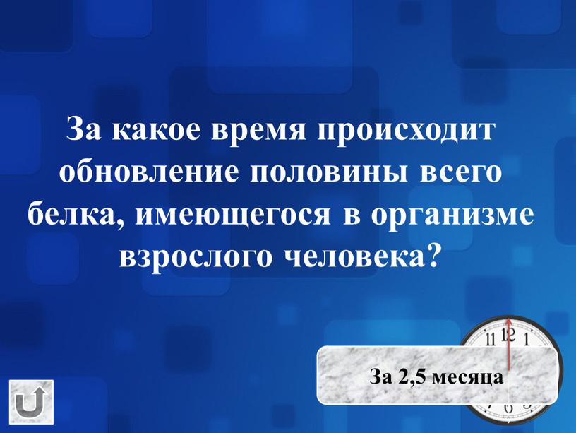 За какое время происходит обновление половины всего белка, имеющегося в организме взрослого человека?