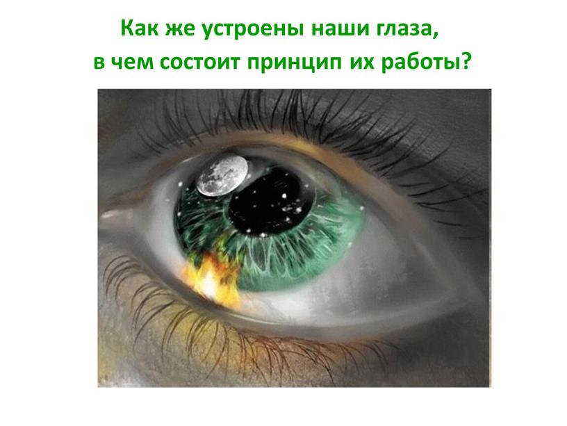 Как же устроены наши глаза, в чем состоит принцип их работы?