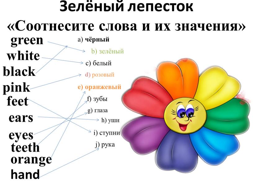 Зелёный лепесток «Соотнесите слова и их значения» white black pink orange green ears feet eyes teeth a) чёрный b) зелёный c) белый d) розовый e)…