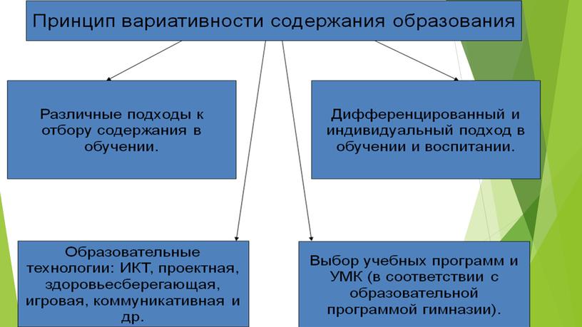 1.	Вариативные модели получения образования обучающимися с ОВЗ и инвалидностью.