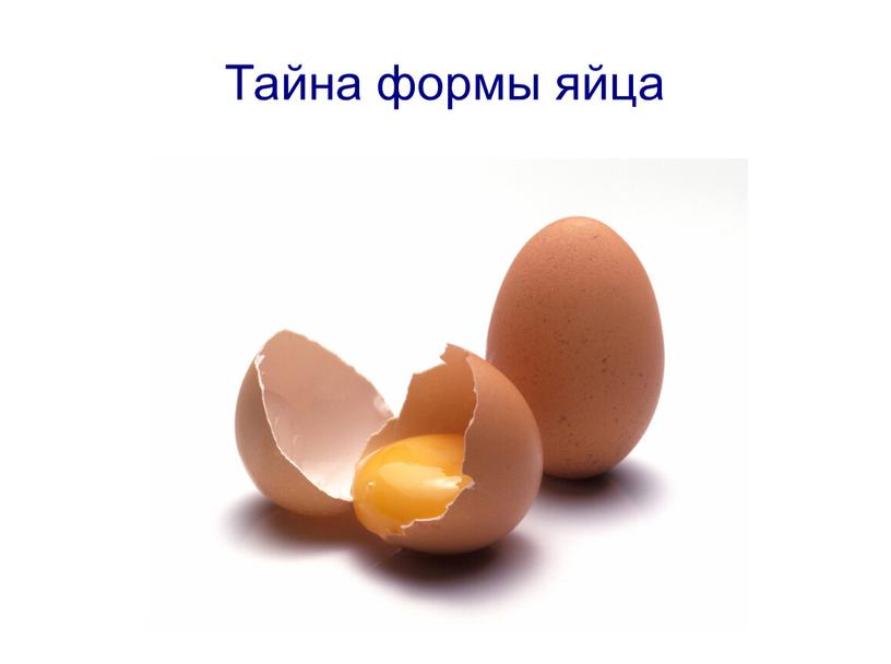 Тайна формы яйца