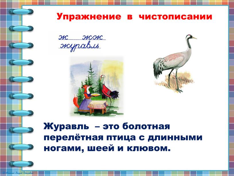 Упражнение в чистописании Журавль – это болотная перелётная птица с длинными ногами, шеей и клювом