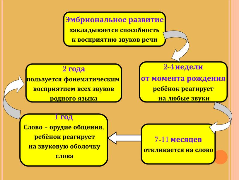 Эмбриональное развитие закладывается способность к восприятию звуков речи 2-4 недели от момента рождения ребёнок реагирует на любые звуки 7-11 месяцев откликается на слово 1 год