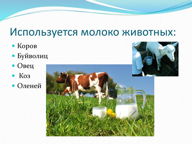 Используется молоко животных: Коров