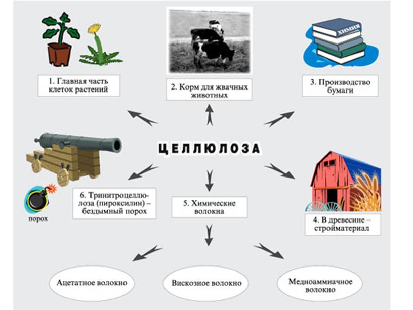 "Крахмал и целлюлоза"