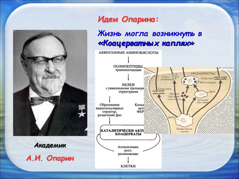 Академик А.И. Опарин Идеи Опарина: