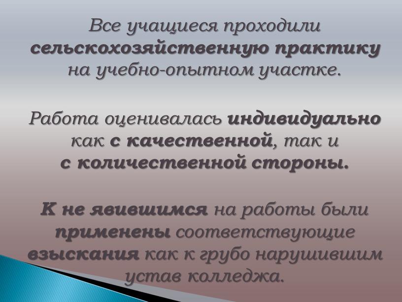 Все учащиеся проходили сельскохозяйственную практику на учебно-опытном участке