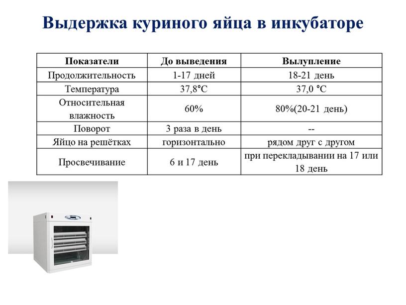 Выдержка куриного яйца в инкубаторе