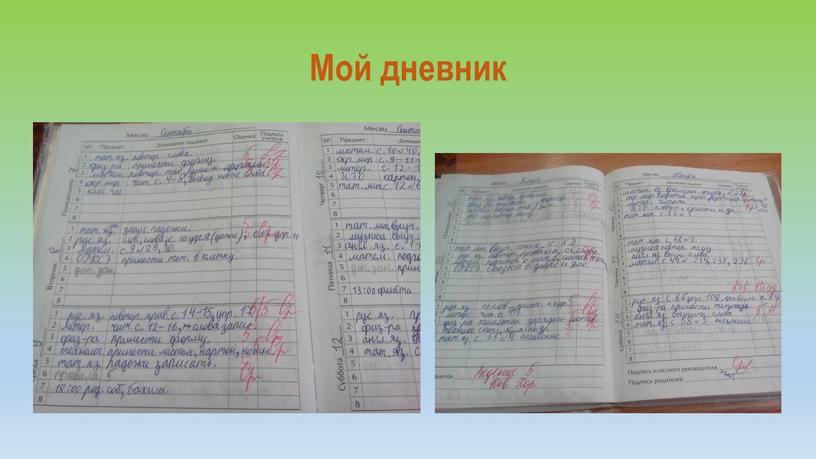 Мой дневник