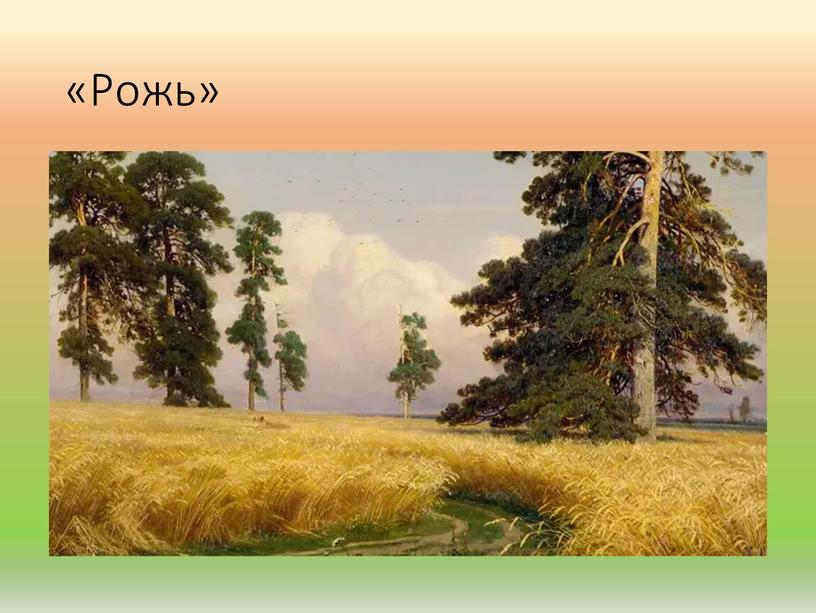 «Рожь»