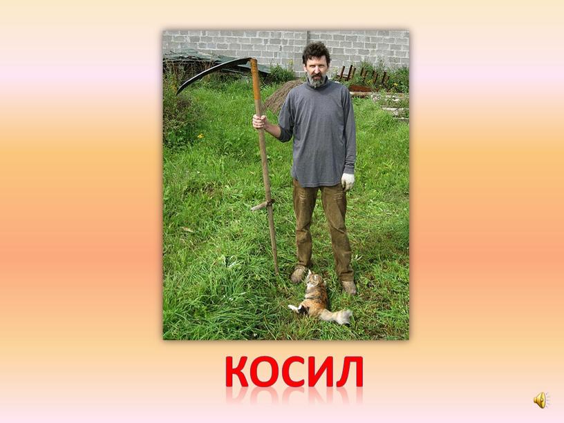 косил