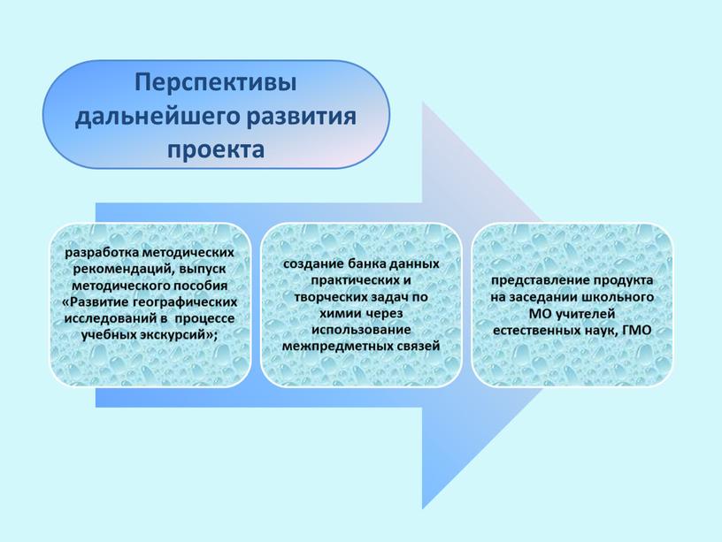 Перспективы дальнейшего развития проекта