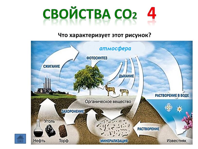 Свойства СО2 4 Что характеризует этот рисунок?