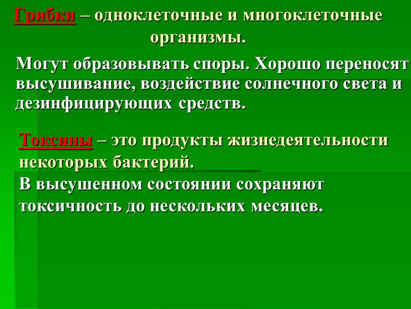 Грибки – одноклеточные и многоклеточные организмы