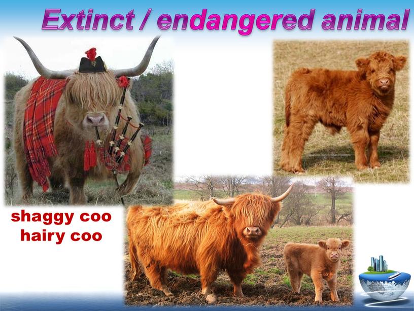Extinct / endangered animal