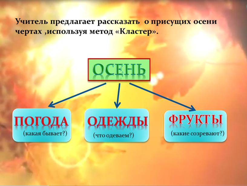 Учитель предлагает рассказать о присущих осени чертах ,используя метод «Кластер»