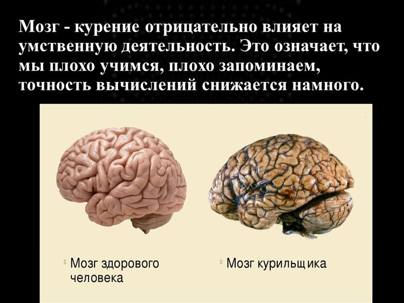 Мозг - курение отрицательно влияет на умственную деятельность