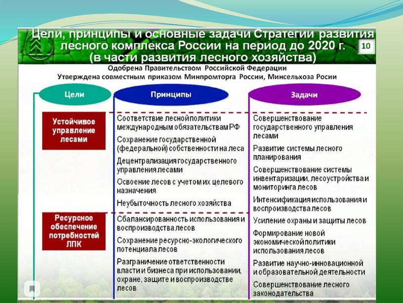 История формирования государственной лесной политики. Лесоуправления в России.