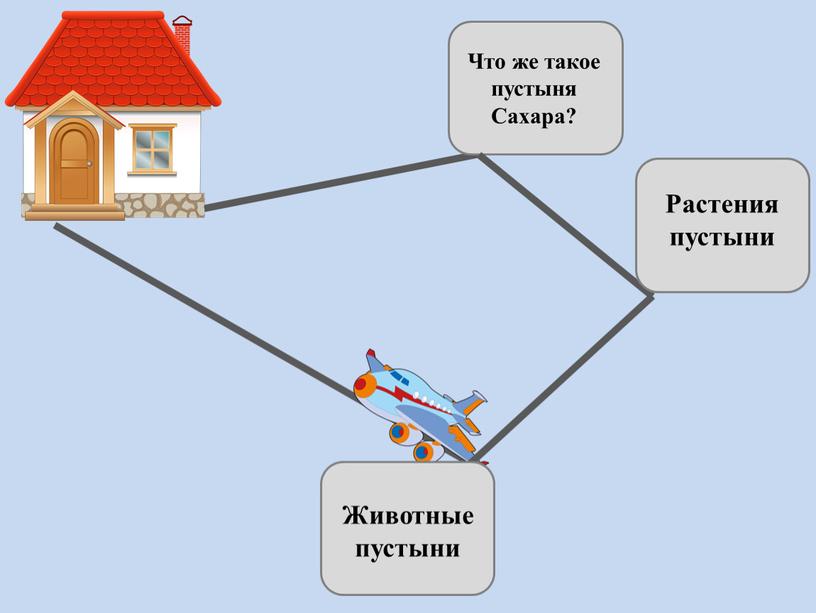 Что же такое пустыня Сахара? Растения пустыни