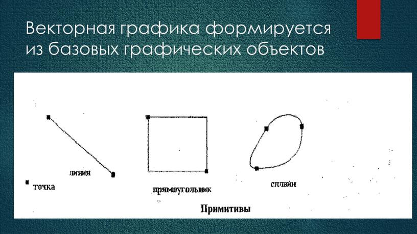 Векторная графика формируется из базовых графических объектов