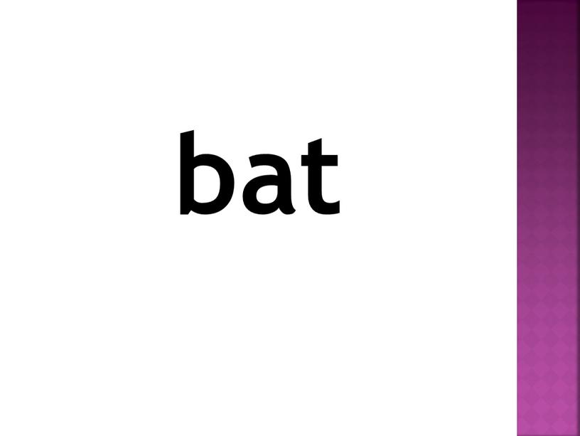 bat