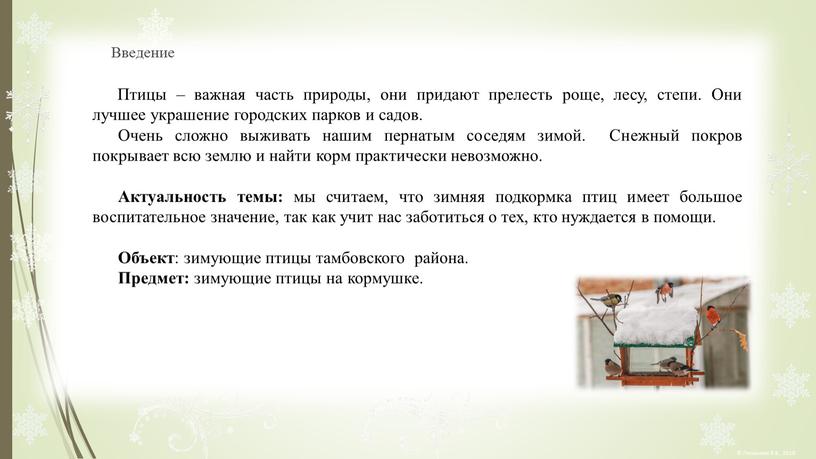 Введение Птицы – важная часть природы, они придают прелесть роще, лесу, степи